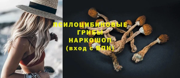сатива Горнозаводск