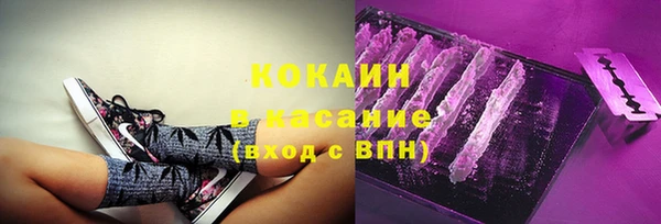 прущая мука Горняк