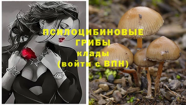 прущая мука Горняк