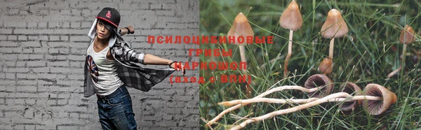 сатива Горнозаводск