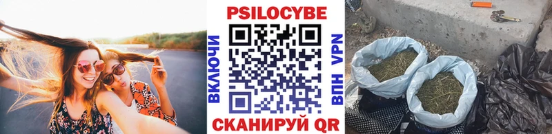 Псилоцибиновые грибы мухоморы  Егорьевск 